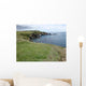 Lizard Point Wall Decal Design 2