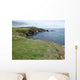 Lizard Point Wall Mural
