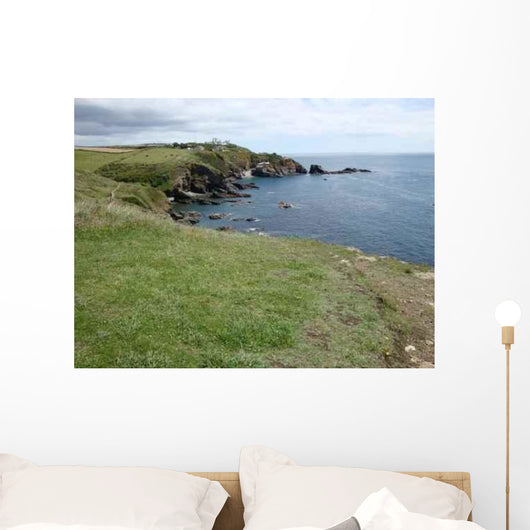 Lizard Point Wall Mural
