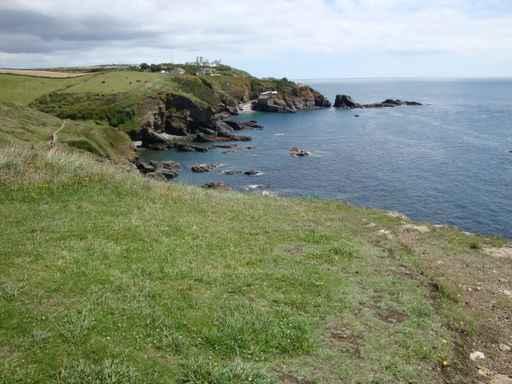 Lizard Point Wall Mural