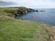 Lizard Point Wall Mural