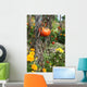 Rouge Tomate Wall Mural