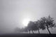 Fog Wall Decal