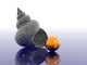Seashell