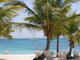 Strandleben Wall Decal
