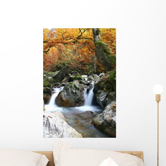 Eaux Des Roches Wall Decal