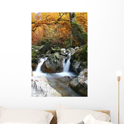 Eaux Des Roches Wall Decal