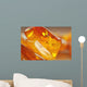 Amber Wall Mural
