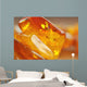 Amber Wall Mural