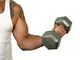Muscle Wall Decal