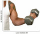 Muscle Wall Decal