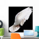 White Dove in Flight 4 Wall Mural