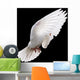 White Dove in Flight 4 Wall Mural