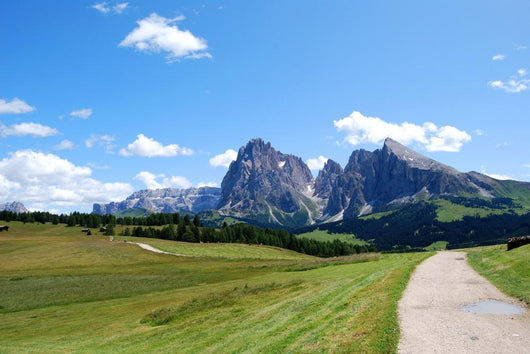 Path