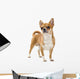 Red Chihuahua Isolated Wall Decal