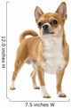 Red Chihuahua Isolated Wall Decal