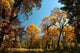 Autumn Yosemite Wall Mural
