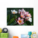 plumeria / frangipani flowers Wall Mural