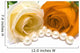 White and Orange Rose