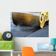 Asphalt Roller Wall Mural