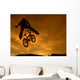 BMX Jump Wall Decal