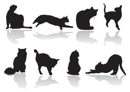 Cat Pose Wall Mural