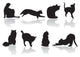 Cat Pose Wall Mural