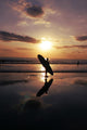 Surfer Sunset Wall Mural