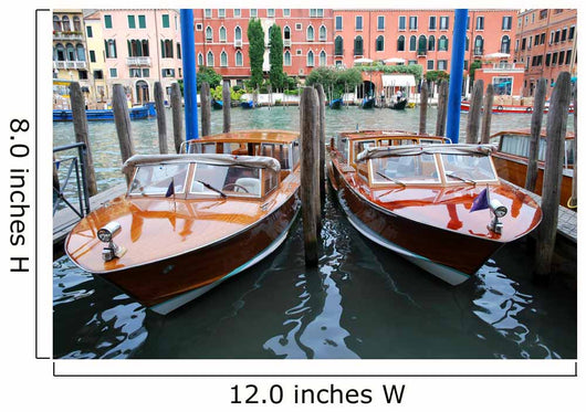 Venice Water Taxis Wall Mural