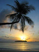 Sunrise Ihuru Wall Decal