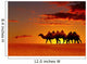 Desert landscape with walking camels at sunset Wall Mural