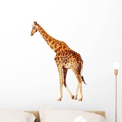 Walking Giraffe White Wall Decal shown on a wall