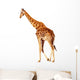 Walking Giraffe White Wall Decal