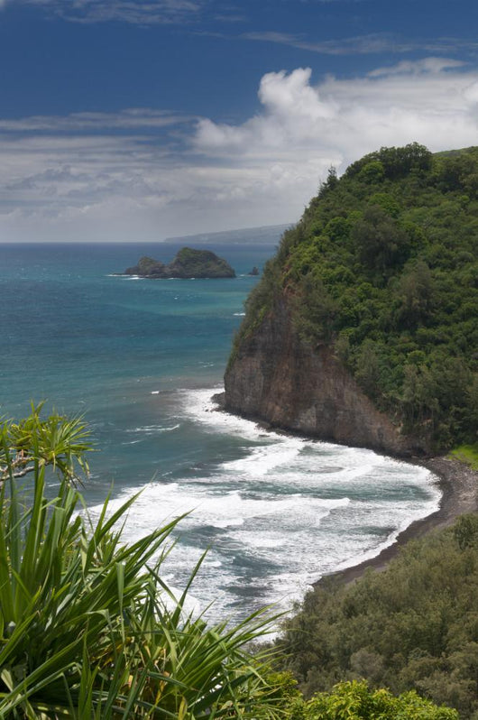 From Pololu Lookout Big