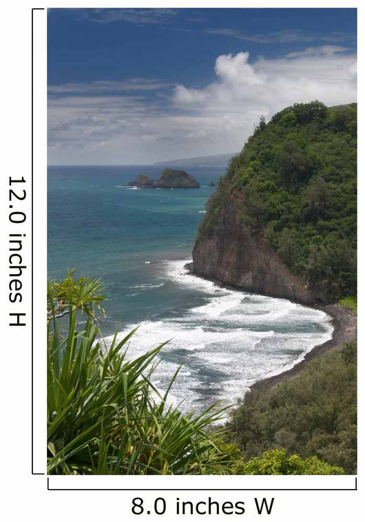 From Pololu Lookout Big