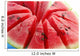 Watermelon Close-up