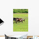 Horses Pasture Wall Mural