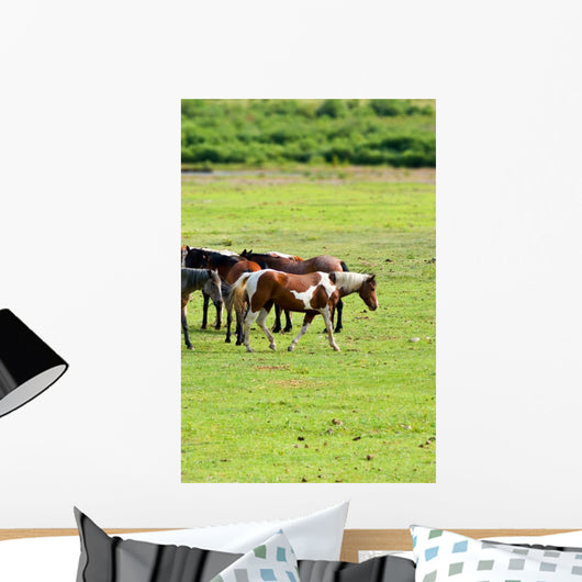 Horses Pasture Wall Mural