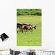 Horses Pasture Wall Mural