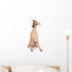 Italian Greyhound Puppy on White Background Wall Decal