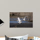 Cattle Egrets Wall Mural