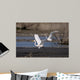 Cattle Egrets Wall Mural