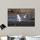 Cattle Egrets Wall Mural