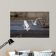 Cattle Egrets Wall Mural