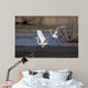 Cattle Egrets Wall Mural