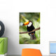 Toco Toucan in deep forest vegetation Wall Mural