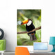 Toco Toucan in deep forest vegetation Wall Mural