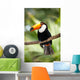 Toco Toucan in deep forest vegetation Wall Mural