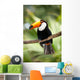 Toco Toucan in deep forest vegetation Wall Mural
