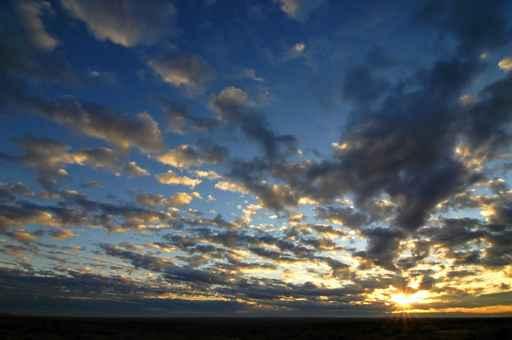 Early Morning Sunrise Wall Decal